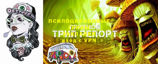 МДМА Гусев
