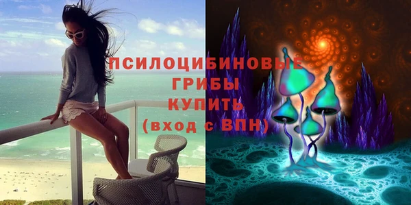 spice Гусь-Хрустальный